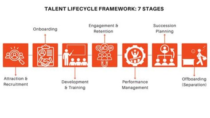 A Journey Of Talent And Impact In Television